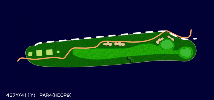 437Y(411Y) PAR4(HDCP9)