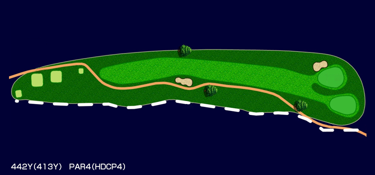442Y(413Y) PAR4(HDCP4)