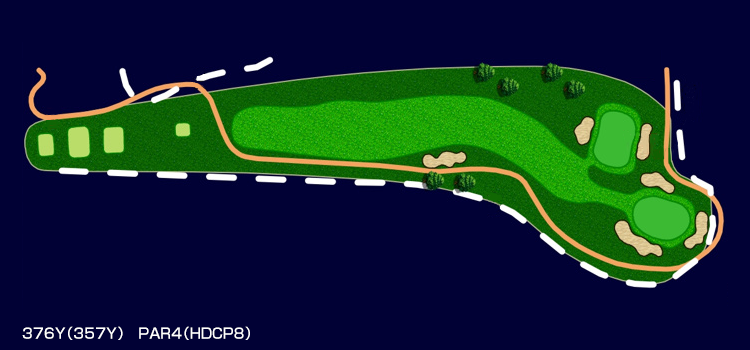 376Y(357Y) PAR4(HDCP8)