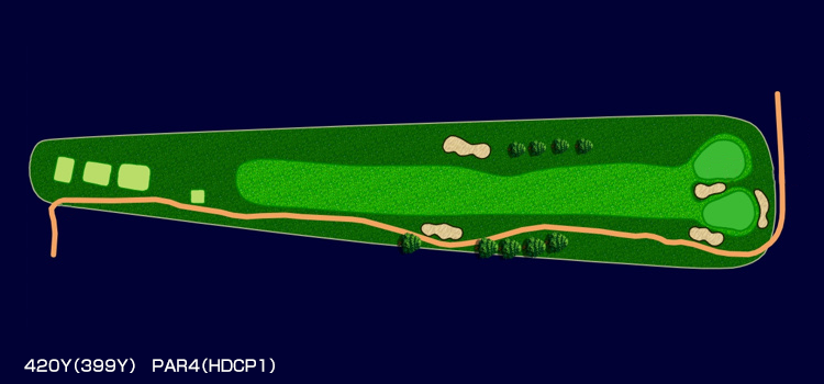 420Y(399Y) PAR4(HDCP1)